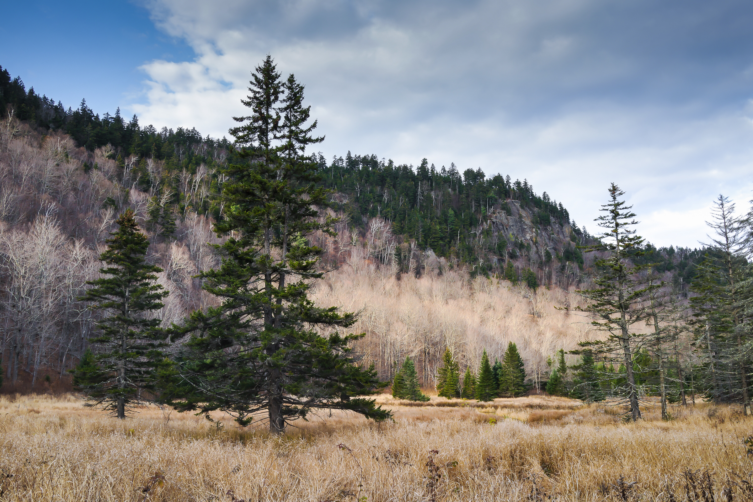 evans notch