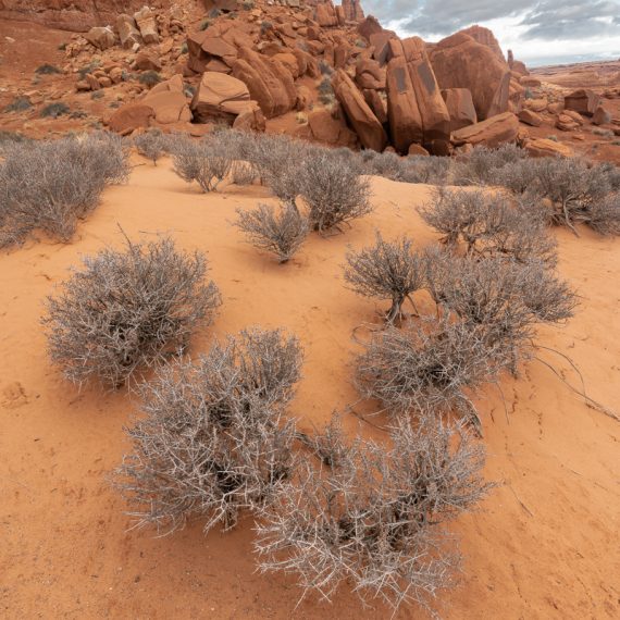 utah arches national park