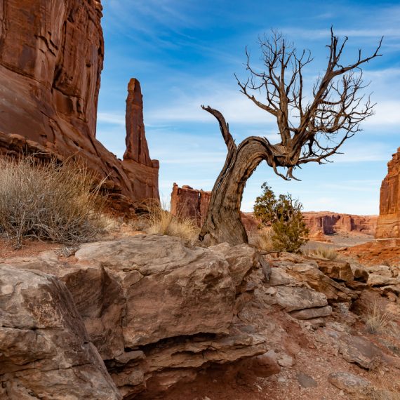 utah arches national park